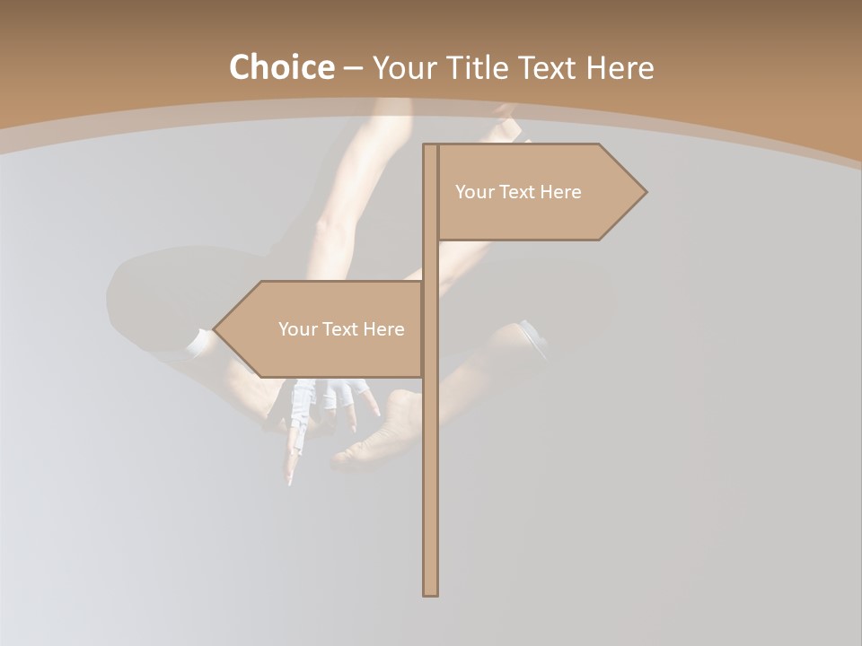 Difficult Female Fly PowerPoint Template