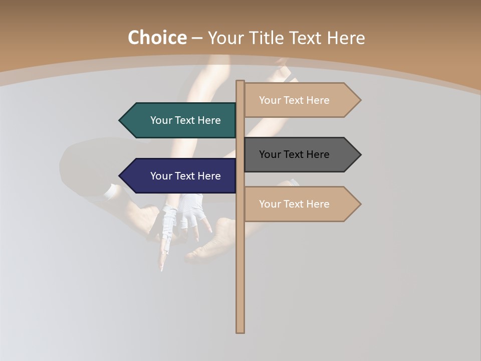 Difficult Female Fly PowerPoint Template