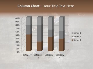 Hdr Black And White PowerPoint Template