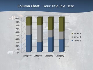 Hdr Black And White PowerPoint Template