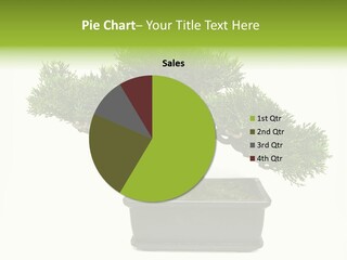 Color Miniature Branch PowerPoint Template