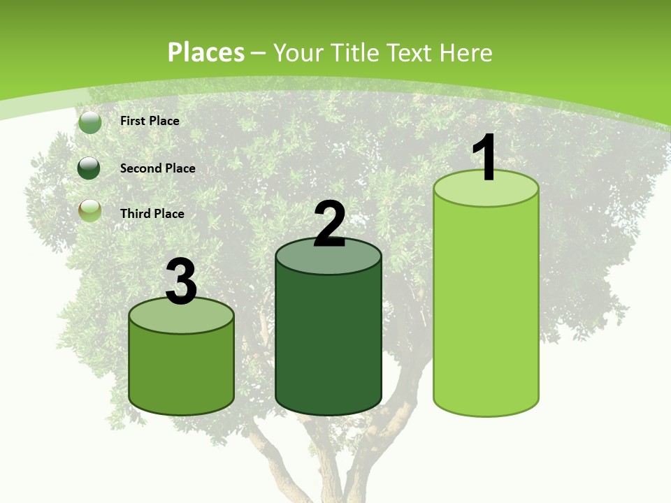 Tree White Background PowerPoint Template