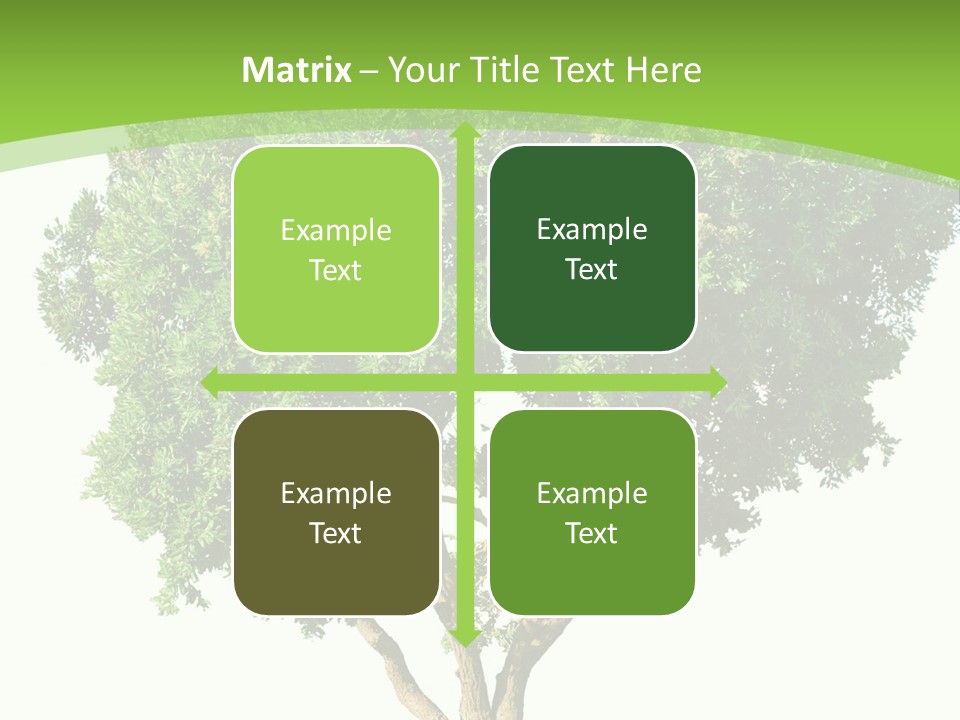 Tree White Background PowerPoint Template