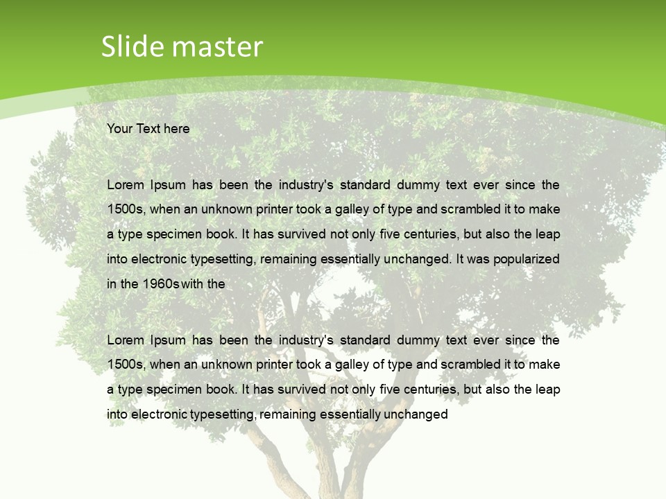 Tree White Background PowerPoint Template