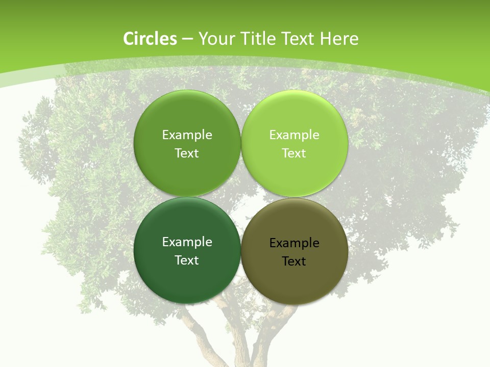 Tree White Background PowerPoint Template
