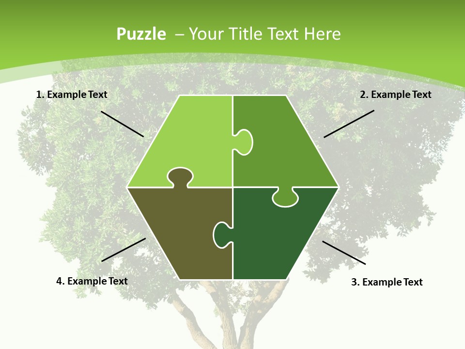 Tree White Background PowerPoint Template