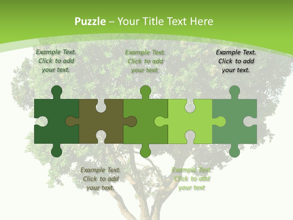 Tree White Background PowerPoint Template