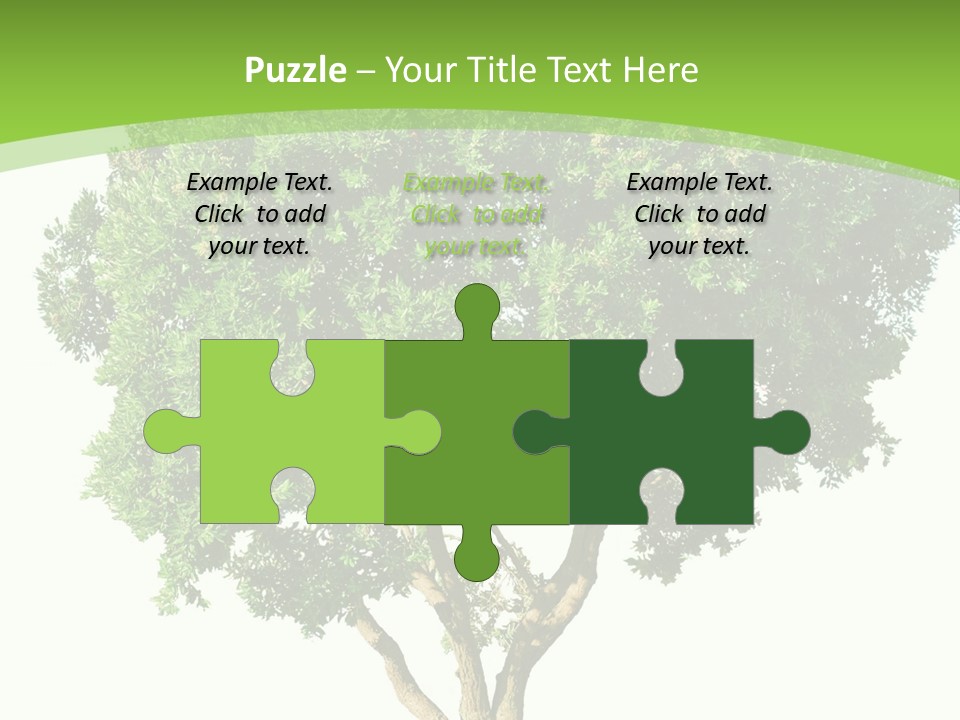 Tree White Background PowerPoint Template