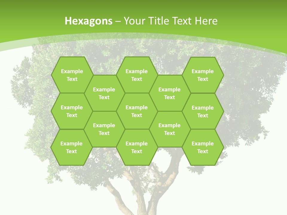 Tree White Background PowerPoint Template