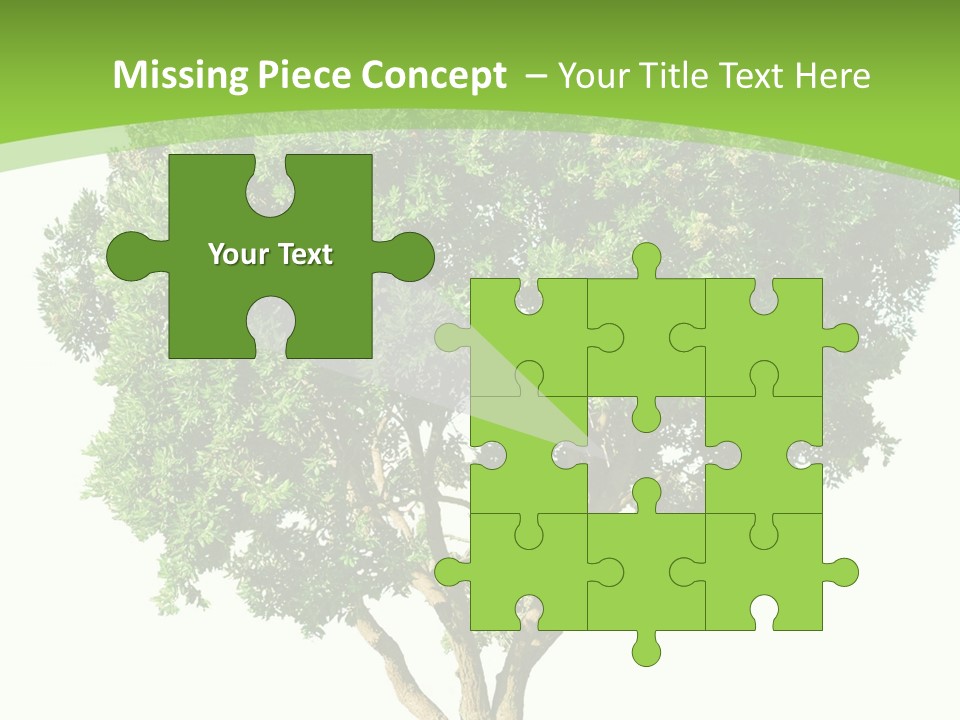 Tree White Background PowerPoint Template