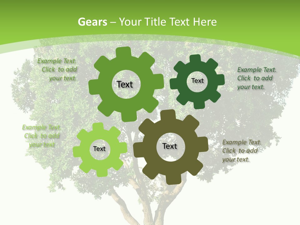 Tree White Background PowerPoint Template