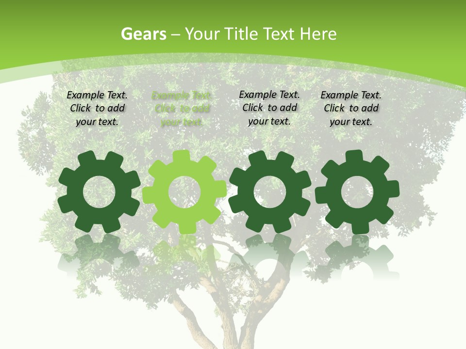 Tree White Background PowerPoint Template