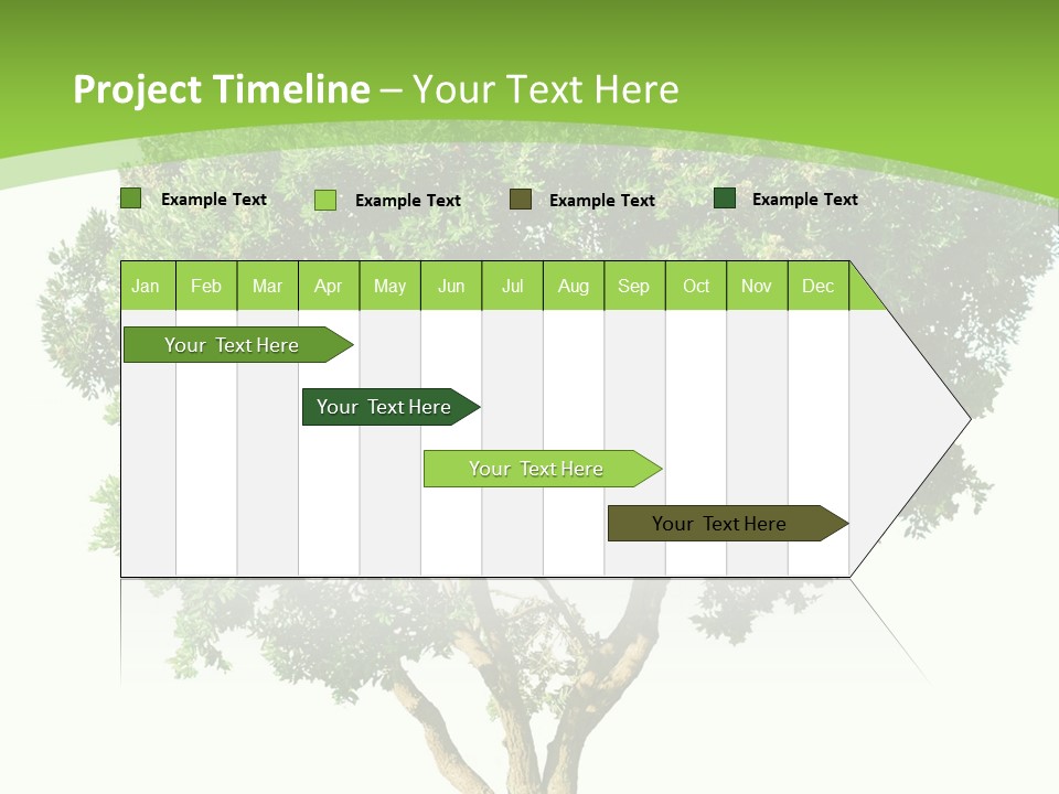 Tree White Background PowerPoint Template