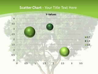 Tree White Background PowerPoint Template