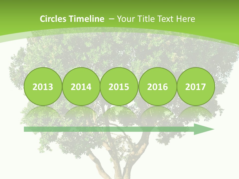 Tree White Background PowerPoint Template