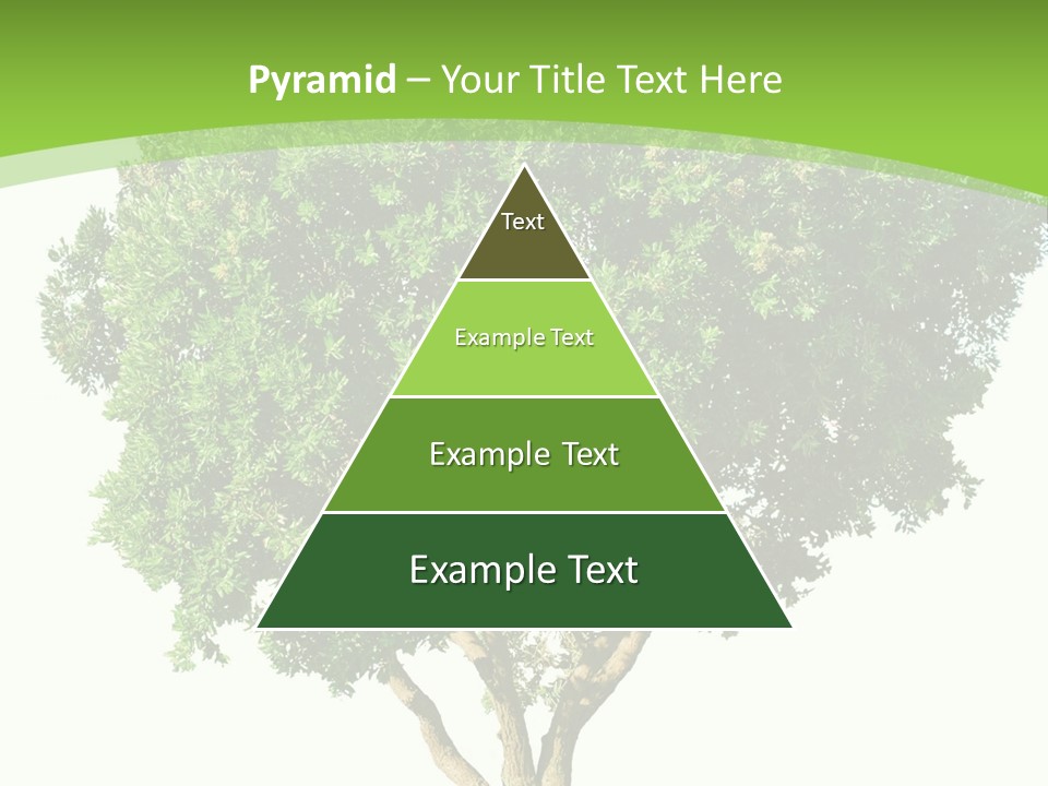 Tree White Background PowerPoint Template