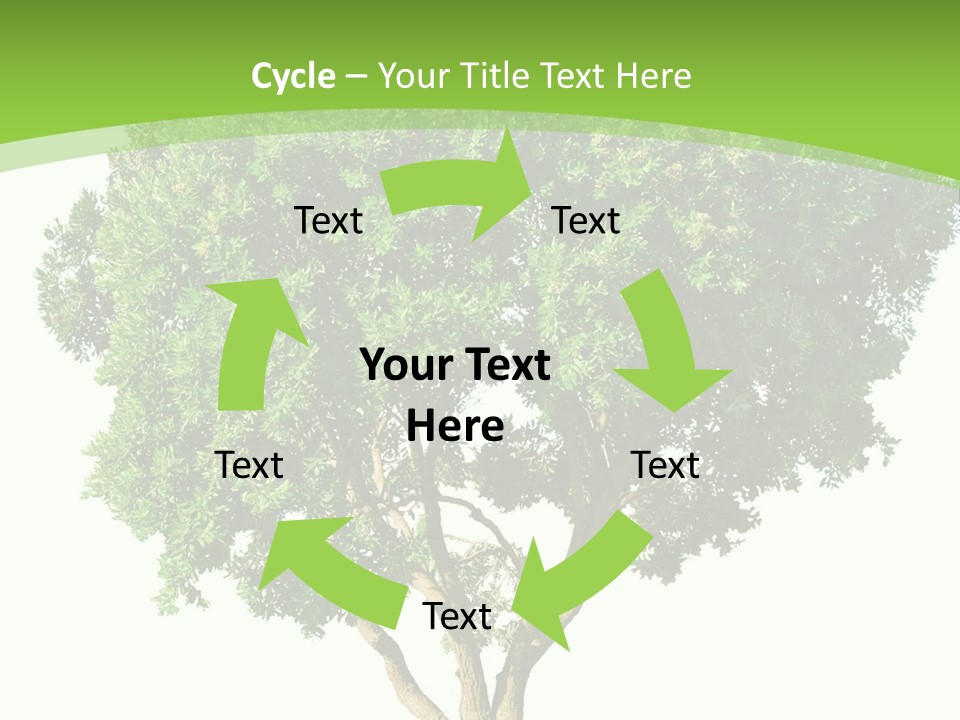 Tree White Background PowerPoint Template