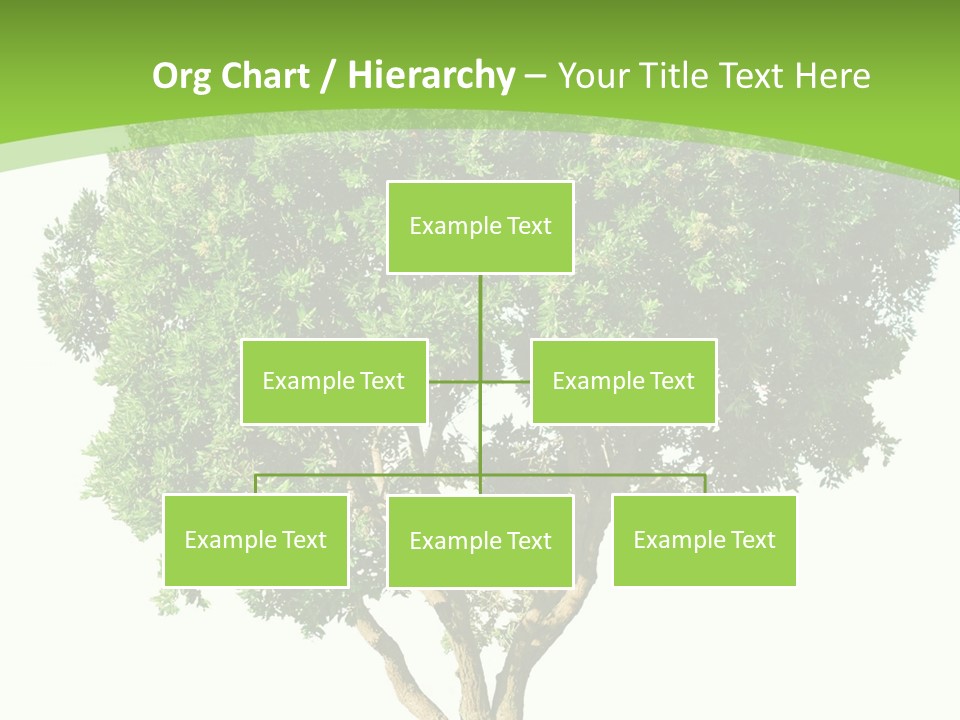Tree White Background PowerPoint Template