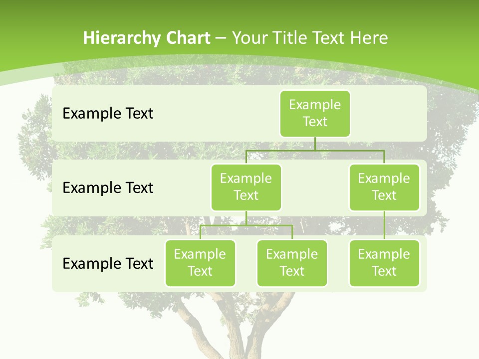 Tree White Background PowerPoint Template