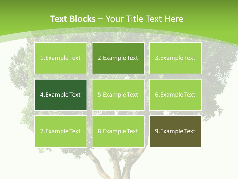 Tree White Background PowerPoint Template