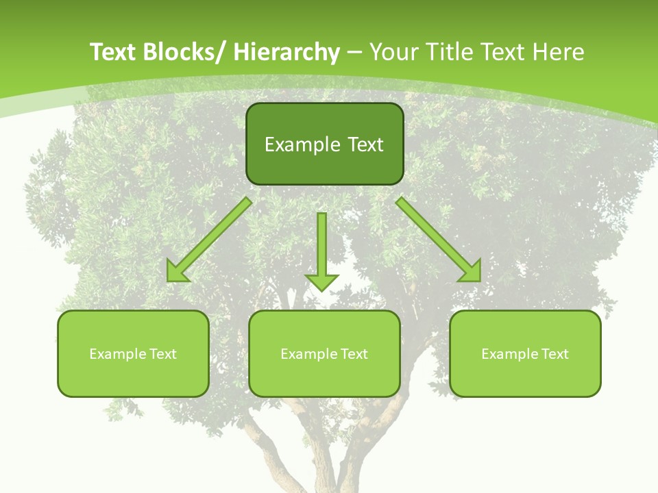 Tree White Background PowerPoint Template