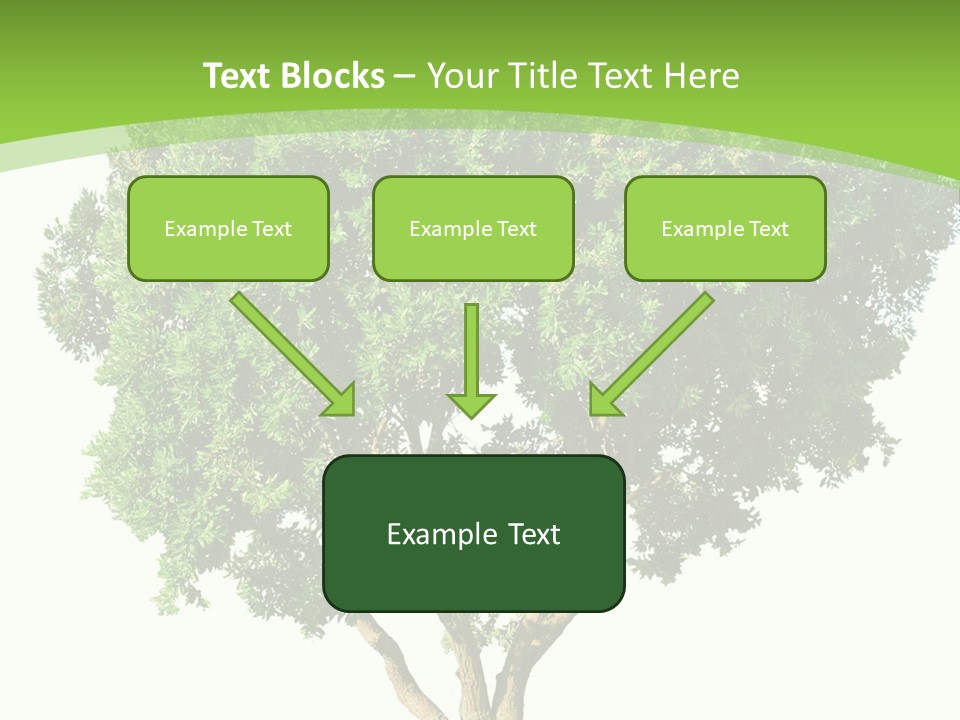 Tree White Background PowerPoint Template
