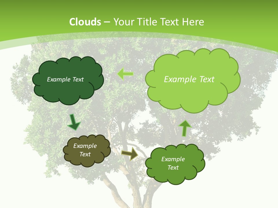 Tree White Background PowerPoint Template