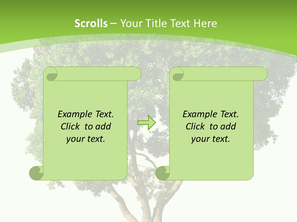 Tree White Background PowerPoint Template