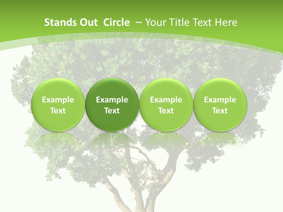 Tree White Background PowerPoint Template
