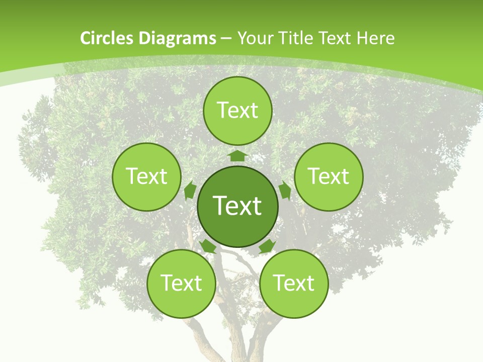 Tree White Background PowerPoint Template