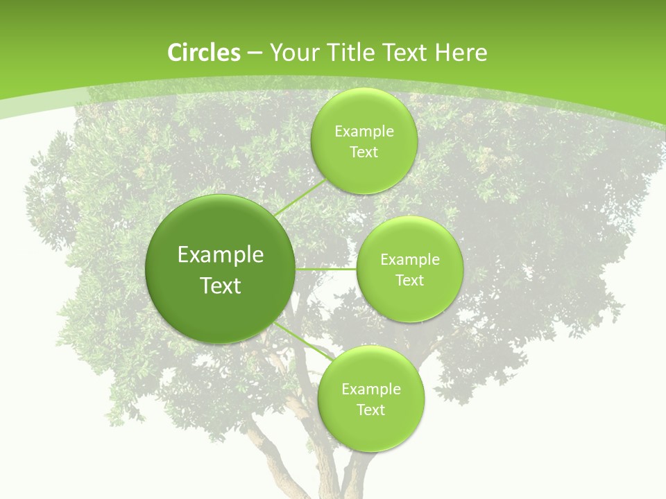 Tree White Background PowerPoint Template