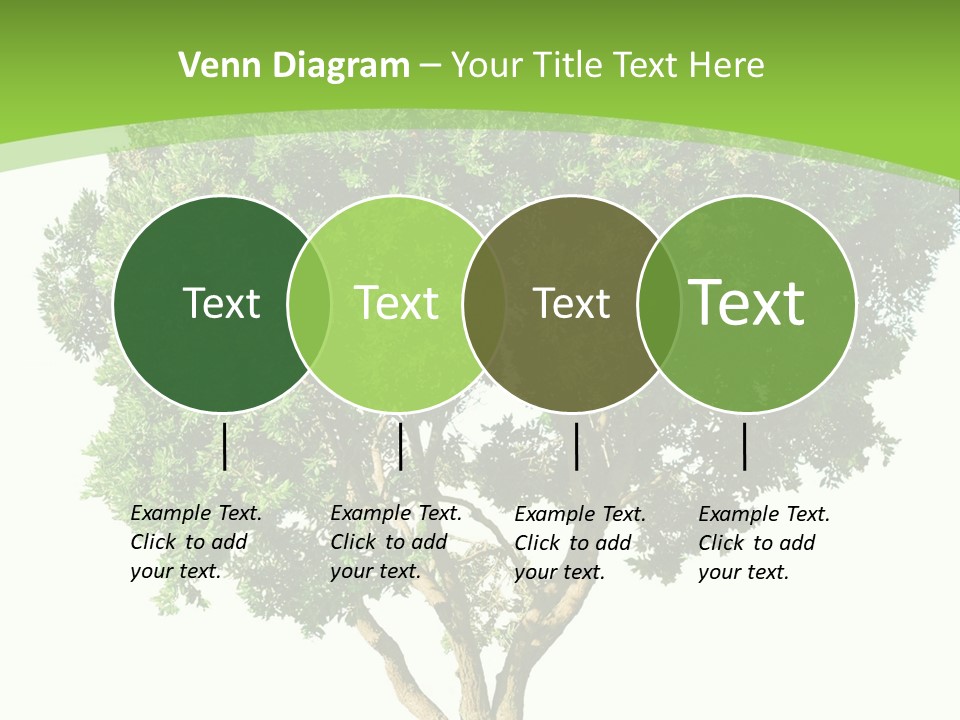 Tree White Background PowerPoint Template