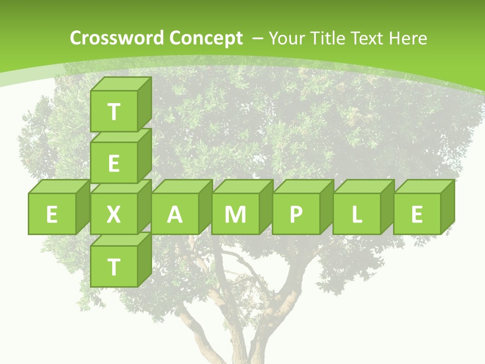 Tree White Background PowerPoint Template