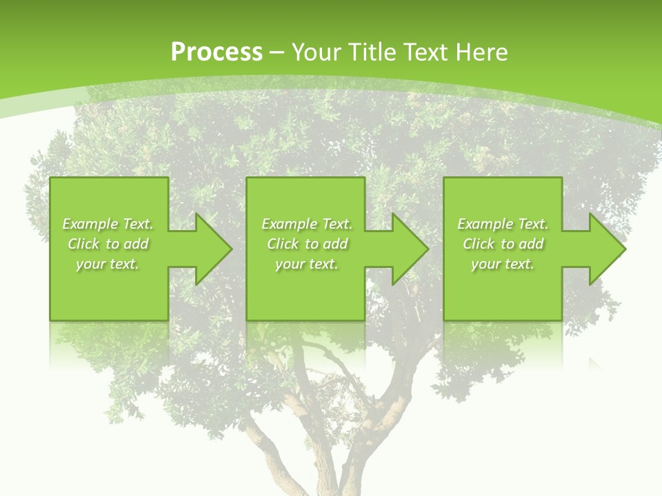 Tree White Background PowerPoint Template