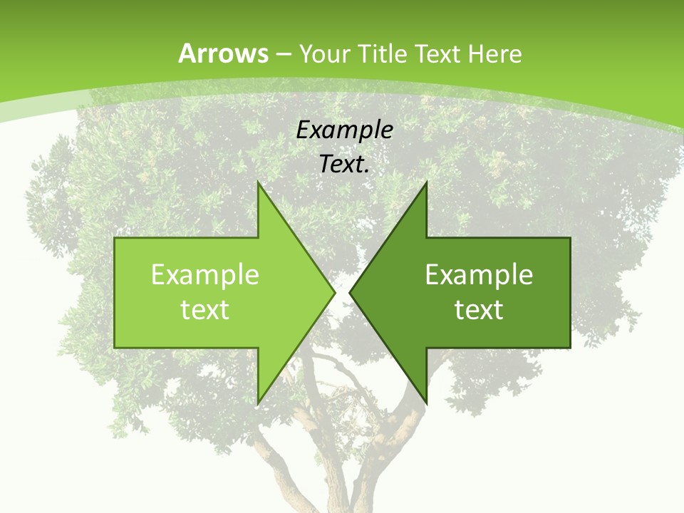 Tree White Background PowerPoint Template