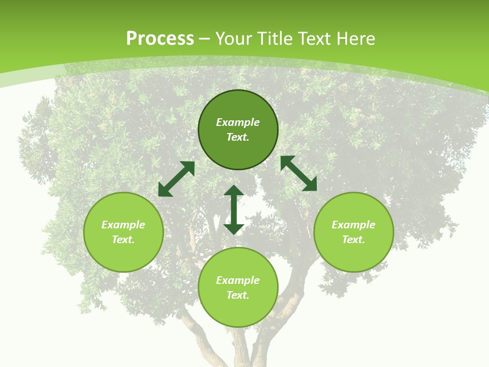 Tree White Background PowerPoint Template
