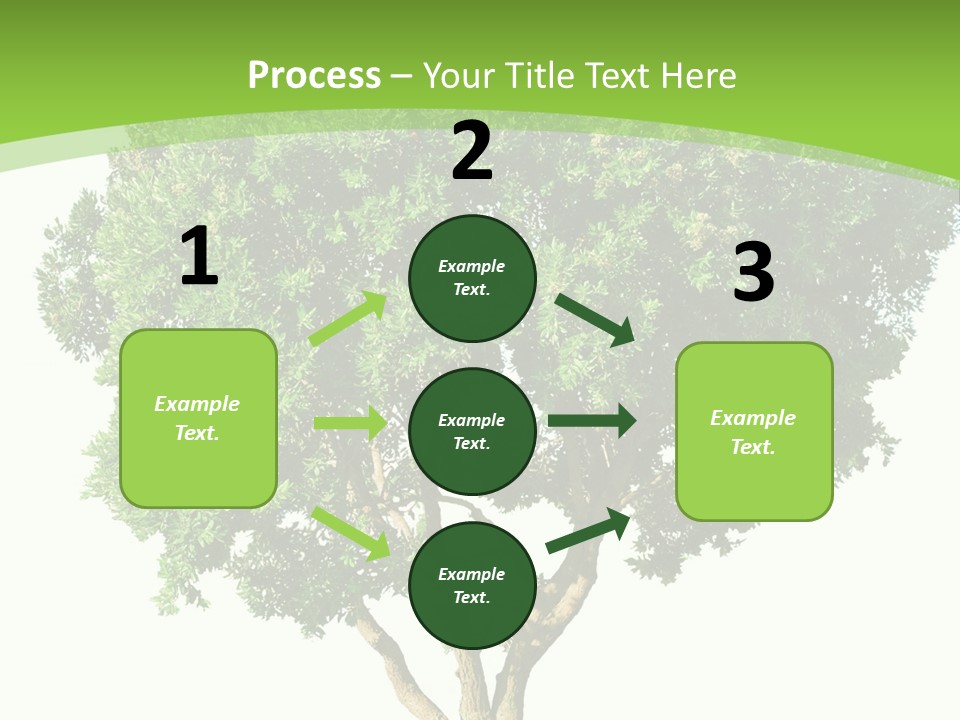 Tree White Background PowerPoint Template