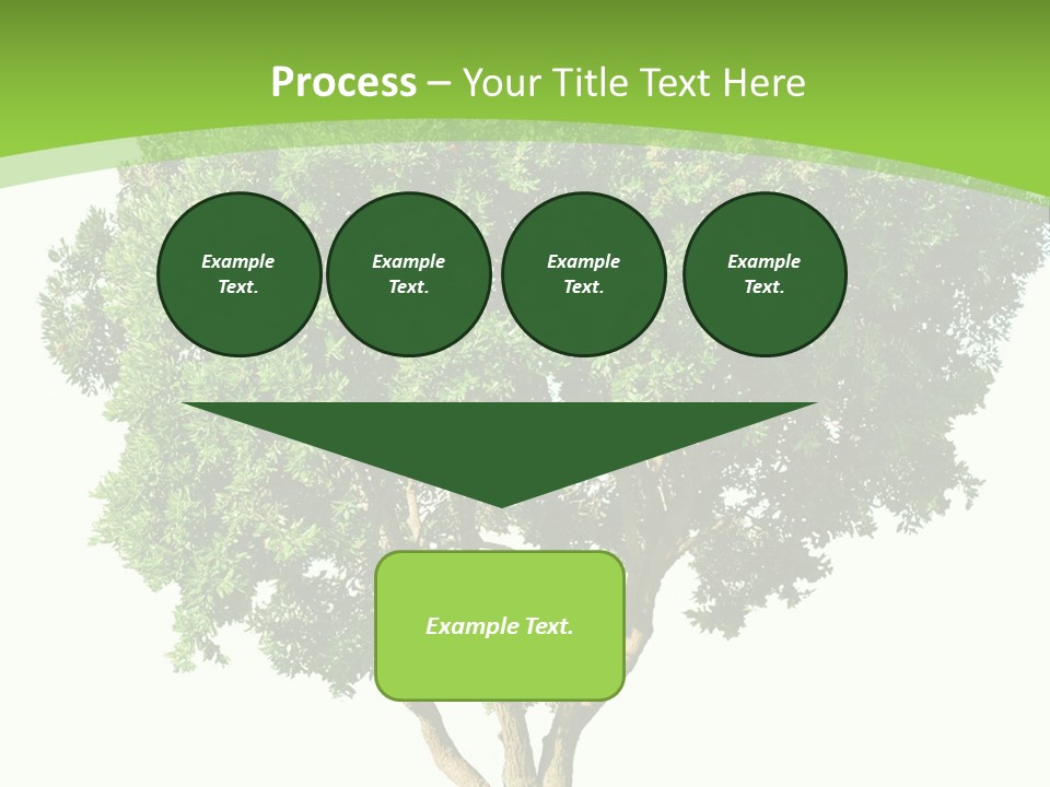 Tree White Background PowerPoint Template
