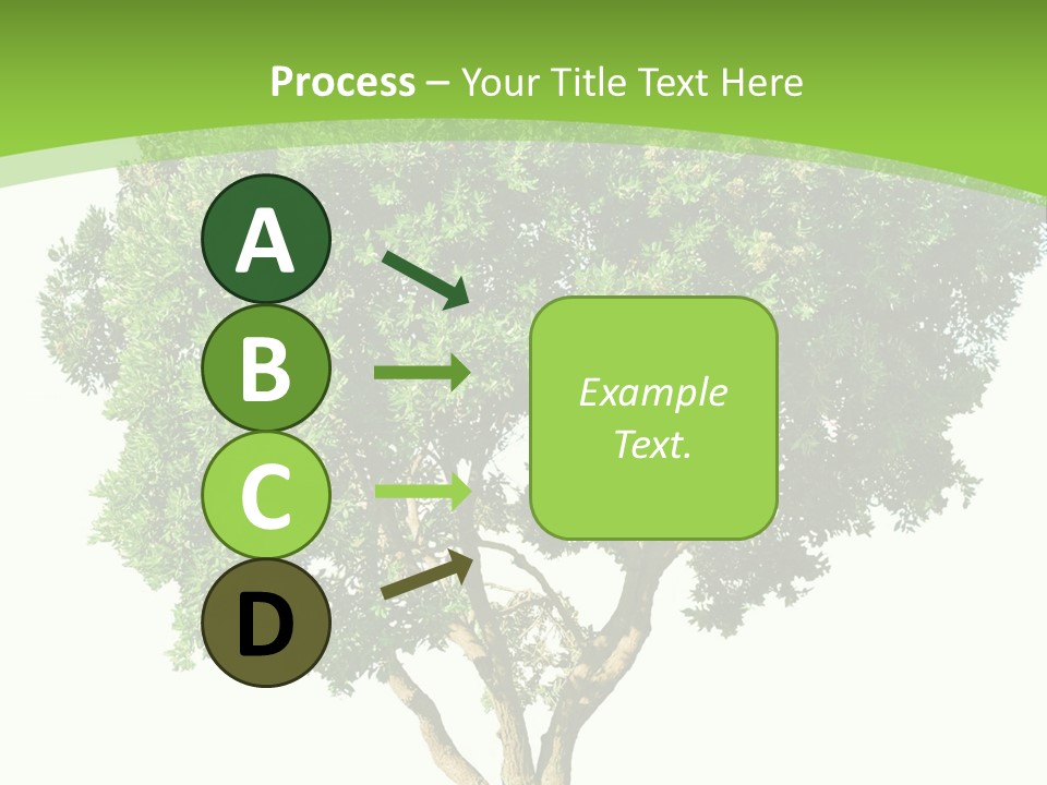Tree White Background PowerPoint Template