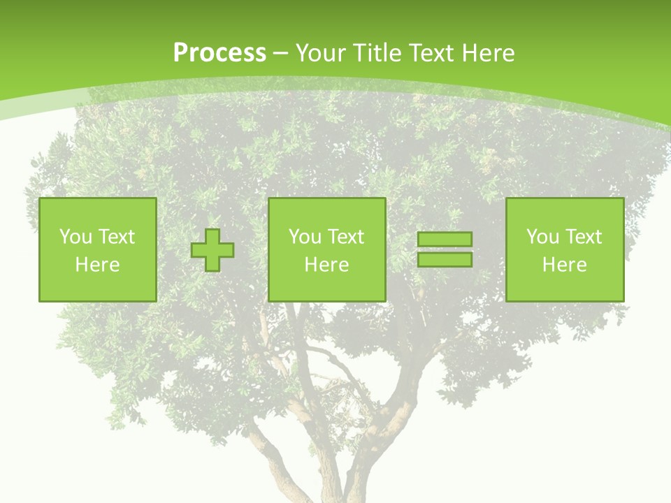 Tree White Background PowerPoint Template