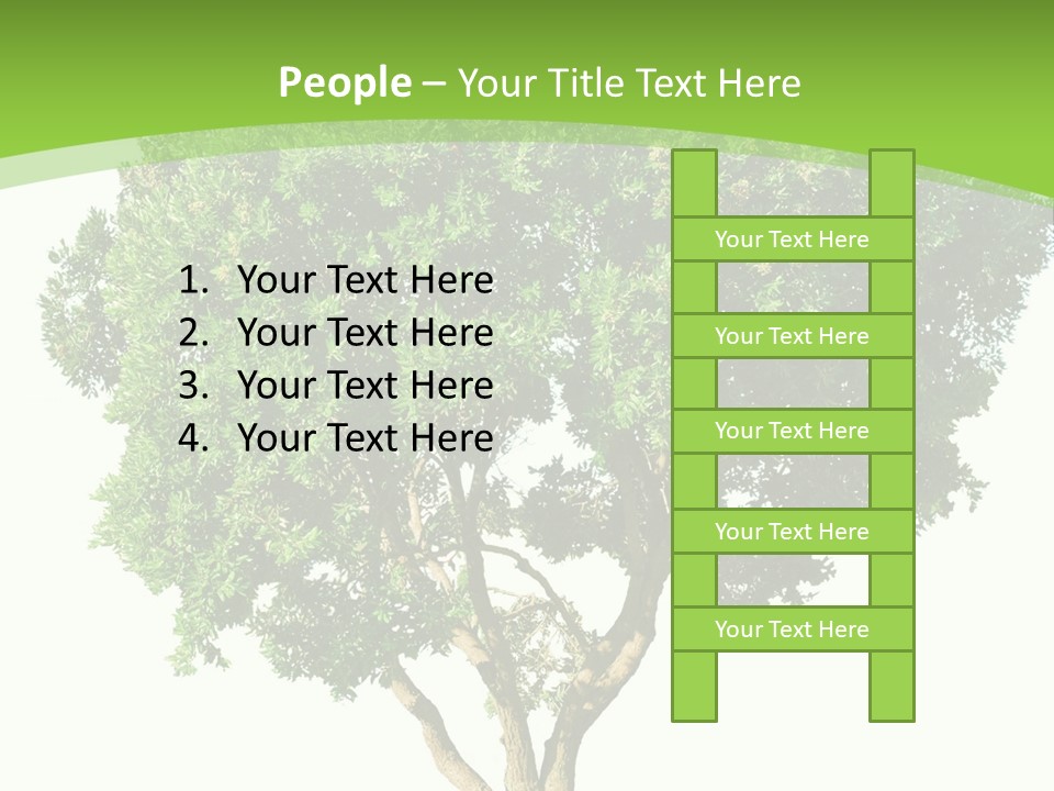 Tree White Background PowerPoint Template