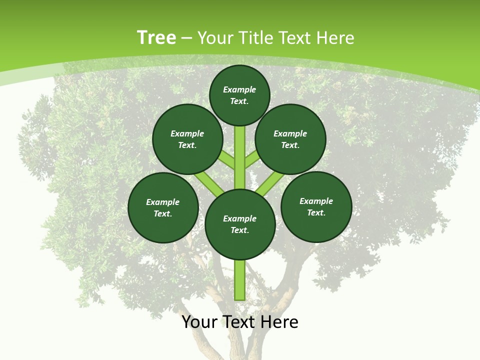 Tree White Background PowerPoint Template