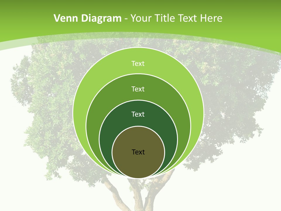 Tree White Background PowerPoint Template