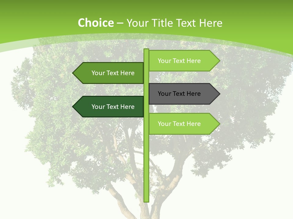 Tree White Background PowerPoint Template