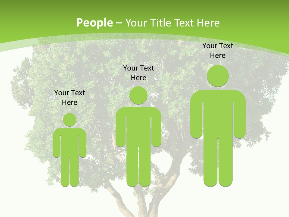 Tree White Background PowerPoint Template