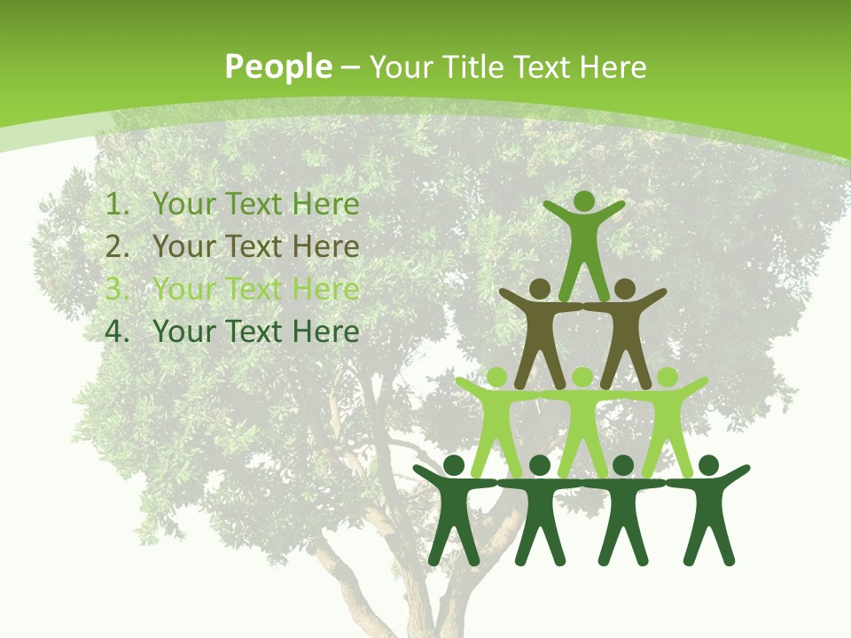 Tree White Background PowerPoint Template