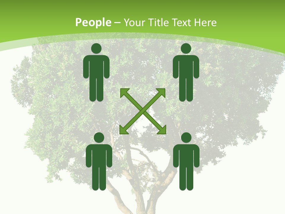 Tree White Background PowerPoint Template