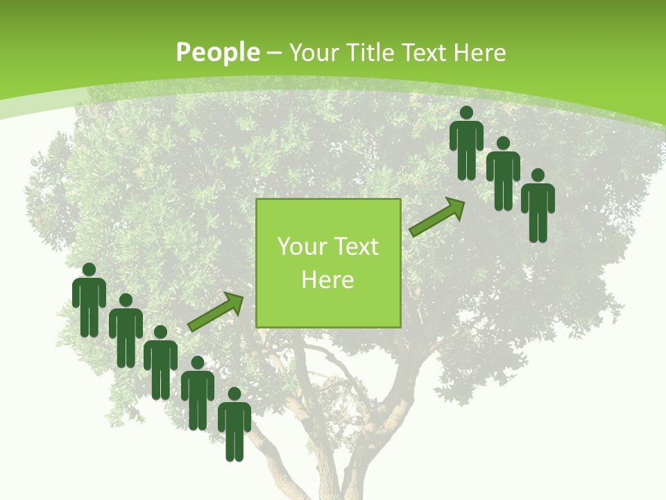 Tree White Background PowerPoint Template