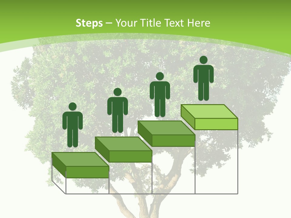 Tree White Background PowerPoint Template