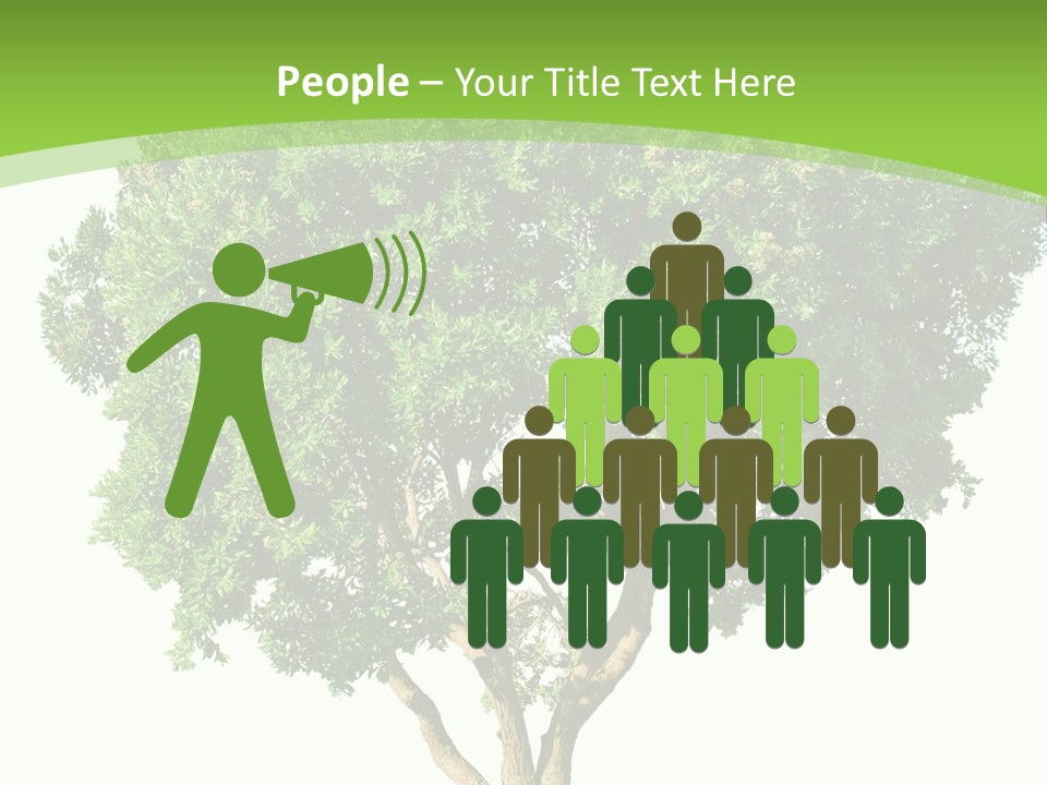 Tree White Background PowerPoint Template